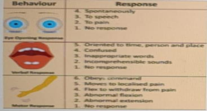 Option A